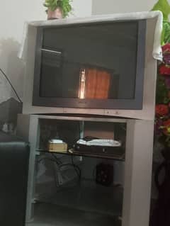 Television