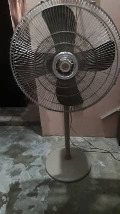 Padestall New fan 10/10