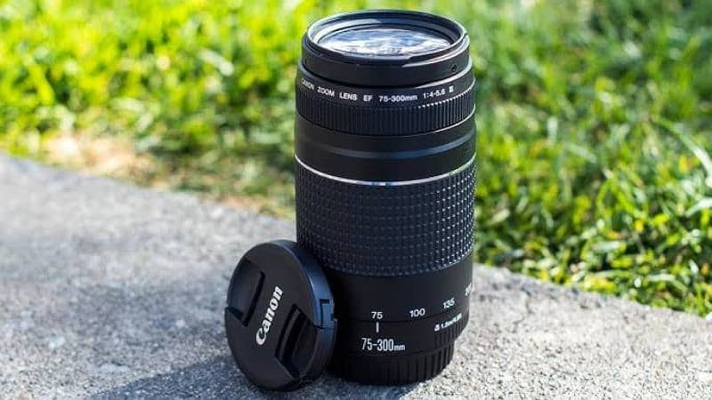 canon 75-300mm lense 2