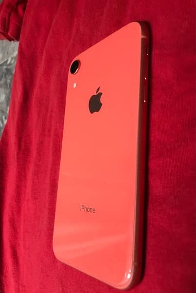 iphone XR 1