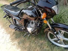 Suzuki 110 for sale