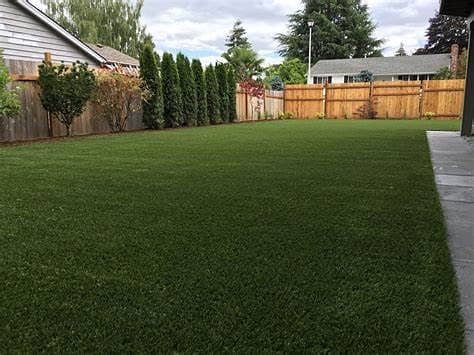 Artifical grass | Astro turf | Synthetic grass | Outdoor grass | Turf 5