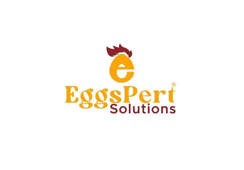 We deal all kinds of imported eggs Incubator & brooders 8