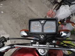 Honda 125 2023/24 03219599697