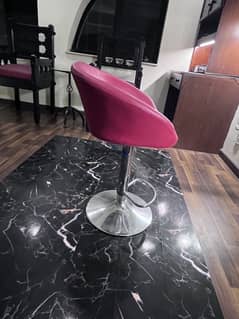 High Salon Chair for Salons Parlour 0