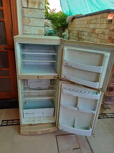 PEL refrigerator for sale 5