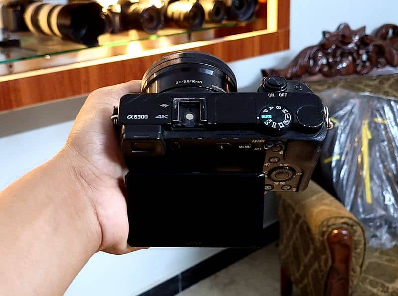 Sony a6300 (4k-Ultra hd Mirrorless)  (Sony 16-50mm oss) 1