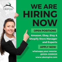 Amazon, eBay & Shopify Expert - Female Staff Only (Office Based Job)