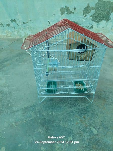 parrots cage for sale 2