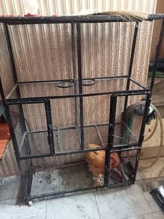 Iron cage for birds/ hens