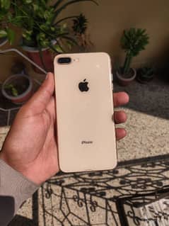 IPHONE 8 PLUS 64GB WATERPACK READ ADD PLZ. 0