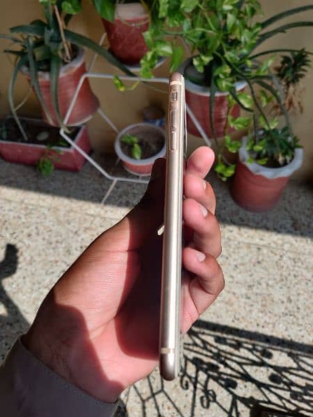 IPHONE 8 PLUS 64GB WATERPACK READ ADD PLZ. 3