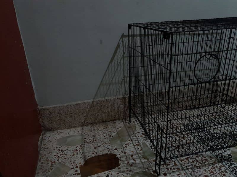 birds cage 3.5 x 3.5 ft 2