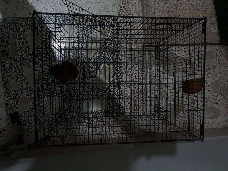 birds cage 3.5 x 3.5 ft 4