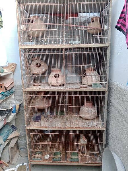 Birds Cage 2