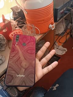 vivo