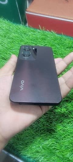 vivo