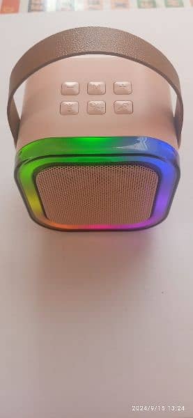 Rechargeable Bluetooth speaker 3