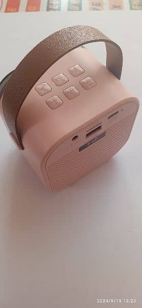 Rechargeable Bluetooth speaker 4