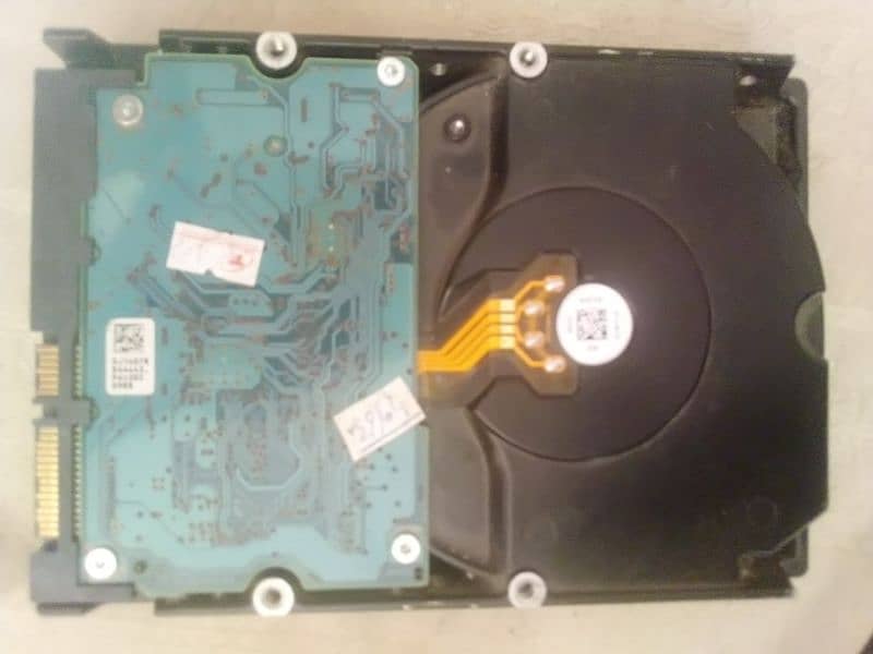 hard disk 3tb 1