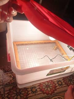 Manual, AC, AC DC Incubators For Egg Hatch