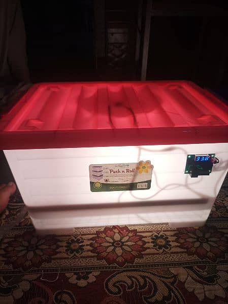 Manual, AC, AC DC Incubators For Egg Hatch 1