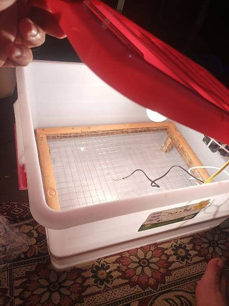 Manual, AC, AC DC Incubators For Egg Hatch 2