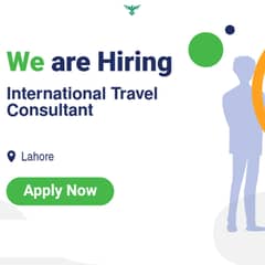 International Travel Consultant