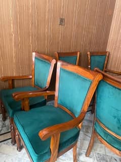 Five star restaurant chairs for sale