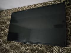 Eco star Android tv