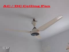 Ceiling Fans