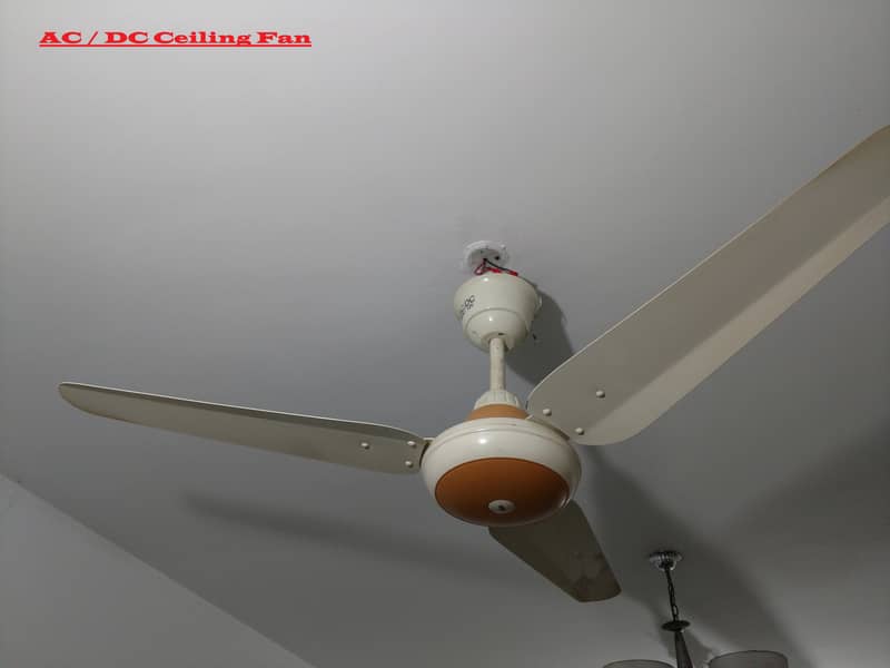 Ceiling Fans 1