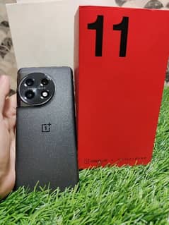 Oneplus 11 5G 16/256 Official PTA Approved