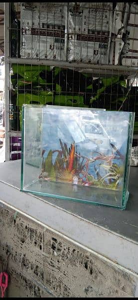 fish aquarium 1