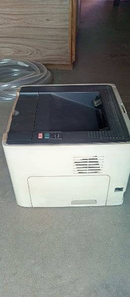 HP printer 3