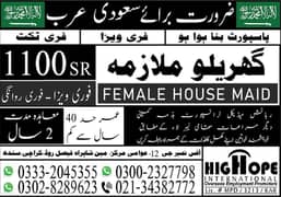 FEMALE HOUSE MAID JOB