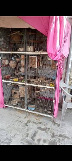 only cage for sale