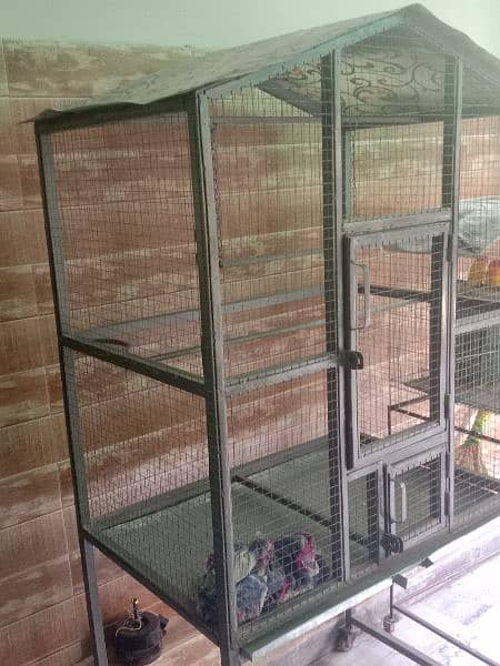 Iron Cage | Bird cage | Parrot cage | Cage for sale 2