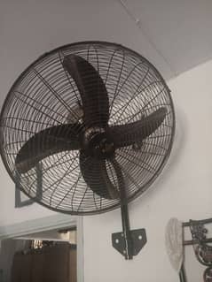 fan for sale