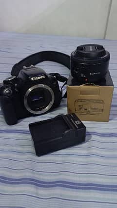 Canon 600D 50mm (0.45m / 1.5ft) lens ( background blur lens )