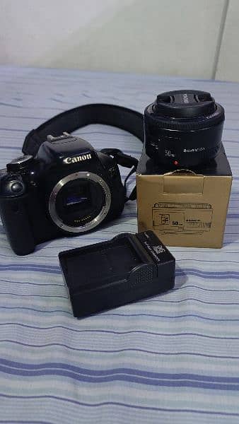 Canon 600D 50mm (0.45m / 1.5ft) lens ( background blur lens ) 0