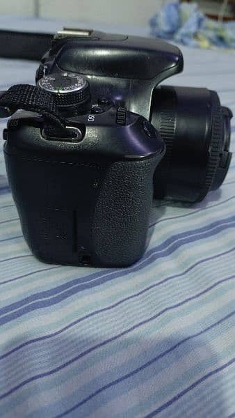 Canon 600D 50mm (0.45m / 1.5ft) lens ( background blur lens ) 3