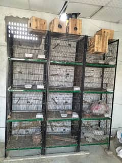 Birds Cage For Sale