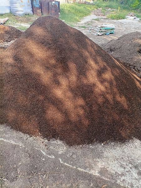 Vermicompost 50kg bag - Organic Fertilizer 1