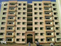 3 Bed Flat For Rent In Askari 13