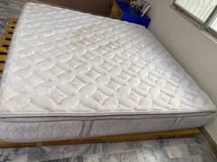 Queen size Molty Foam Mattress