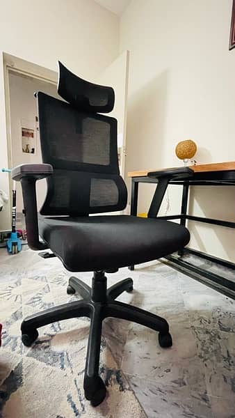 Ergonomic Executive Manager Office Chair 10