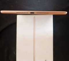 iPad mini 5 0