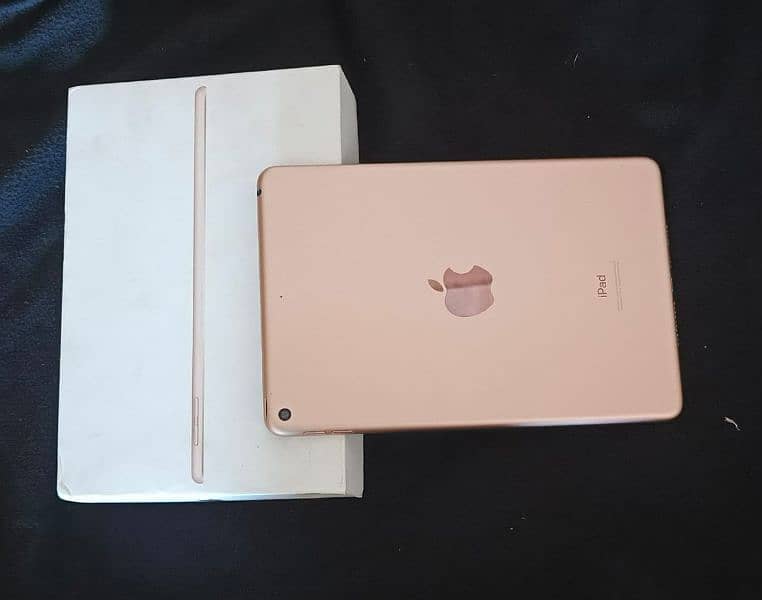 iPad mini 5 1