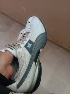 PUMA TURIN BRANDED SHOES